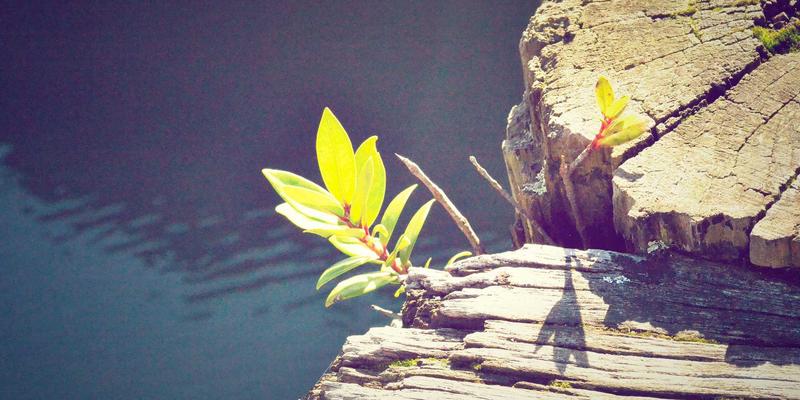 事件溯源与CQRS架构：天亿盛科技解析应对高并发与复杂业务变更的终极武器