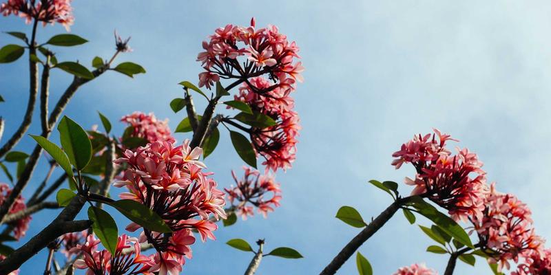 从源头筑牢防线：天亿盛科技如何将安全基因注入软件开发生命周期